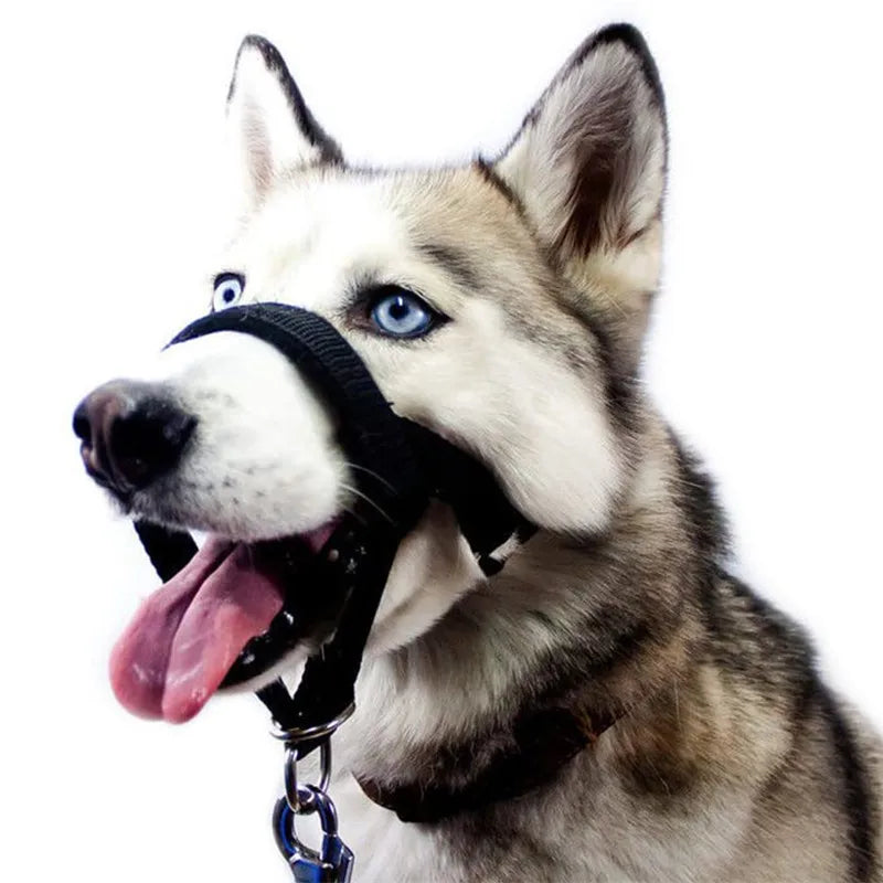 Dog Muzzle Adjustable Anti-biting